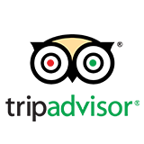 tripAdvisor